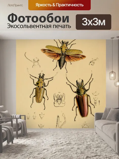 Фотообои Винтажные жуки иллюстрации искусства