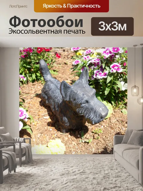Фотообои Шотландский терьер