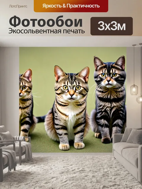 Фотообои коты, собирающиеся на свой собственный чемпионат