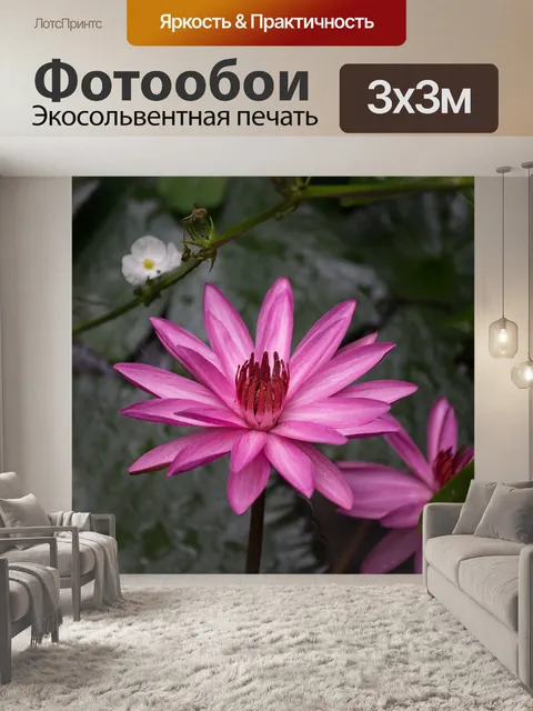 Фотообои Lotus
