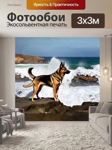 Фотообои немецкая овчарка, стоящая на утесе, смотрящая на бушующее море, где волны разбиваются о скалы и поднимают…