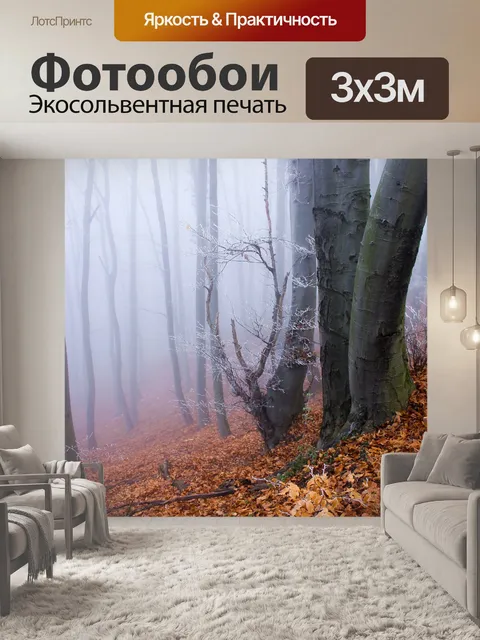 Фотообои Лес