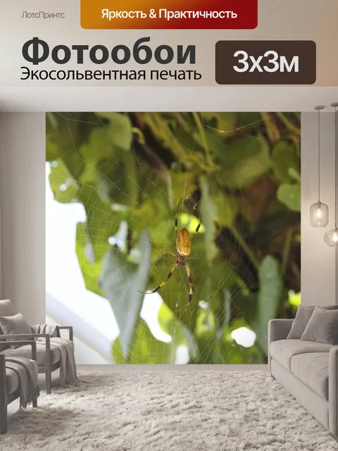 Фотообои Паук на веб-