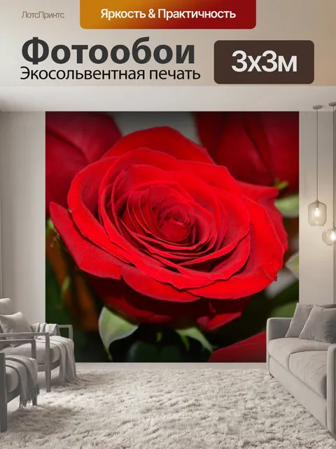 Фотообои красные розы