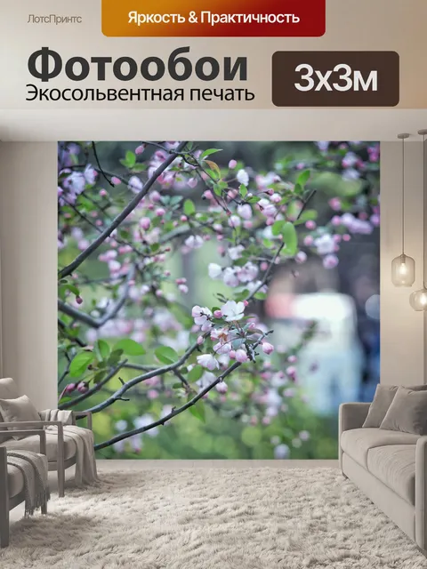 Фотообои Цветы бегонии