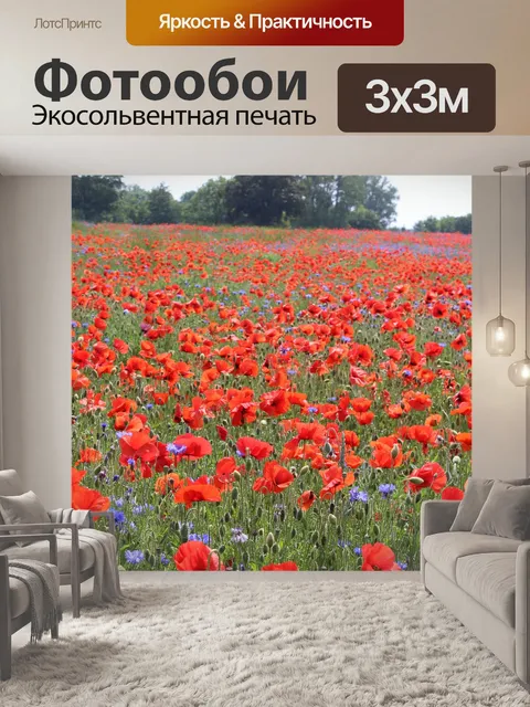 Фотообои Маковое поле