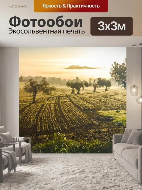 Фотообои Оливковая роща
