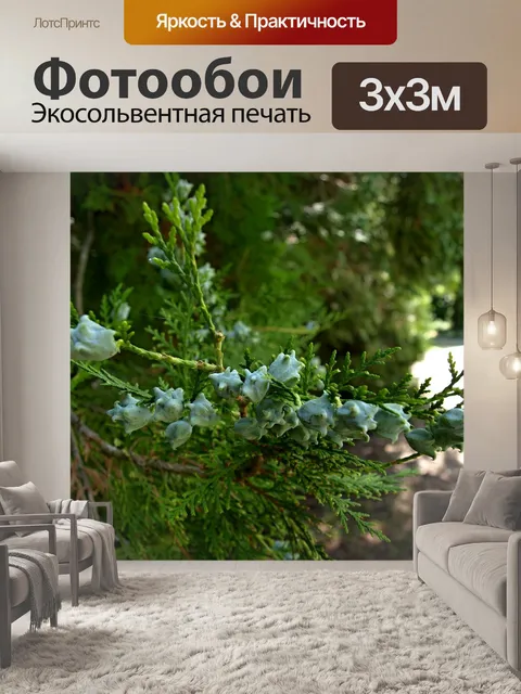 Фотообои Дерево