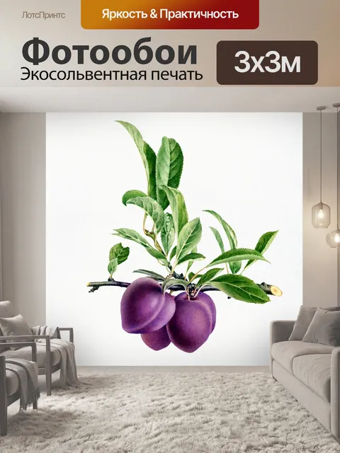 Фотообои Сливы фрукты фрукты арт