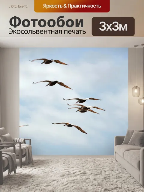 Фотообои Пеликаны летающие