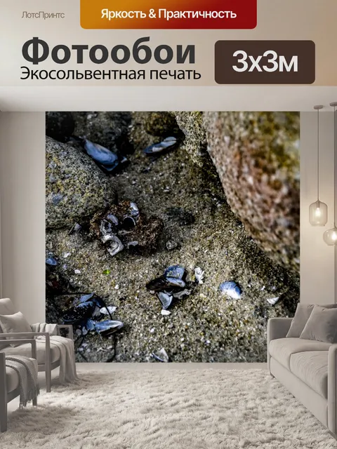 Фотообои Пляж Tidepool View