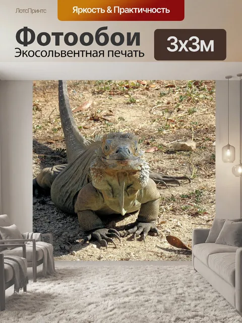 Фотообои Карибский бассейн