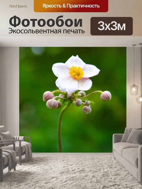 Фотообои Цветет