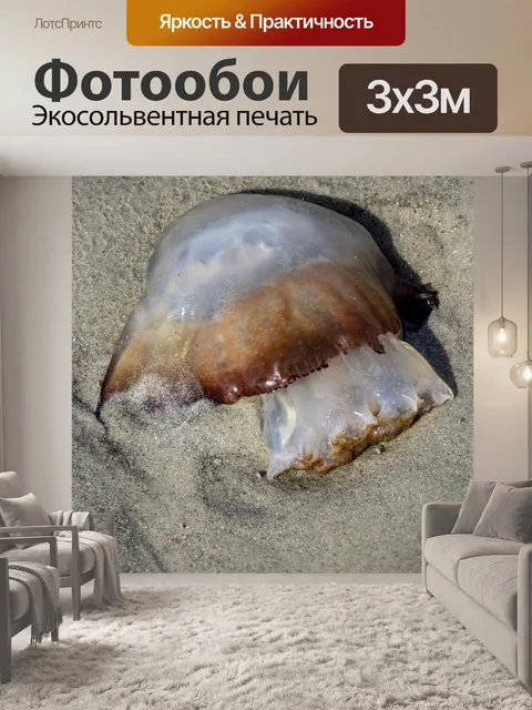 Фотообои мертвая медуза