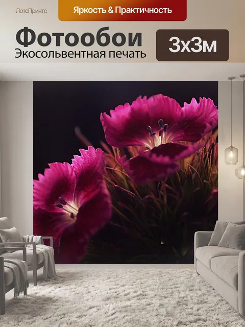 Фотообои Милая красавица