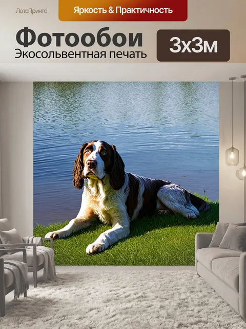 Фотообои тихий момент, когда английский спрингер спаниель лежит на мягкой траве рядом с тихим озером, отражающим небо