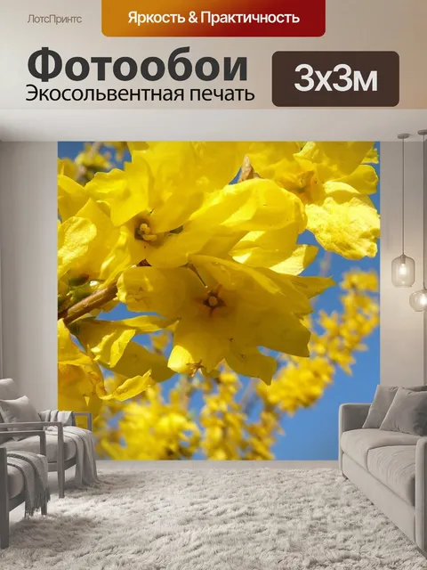 Фотообои Форсайтия