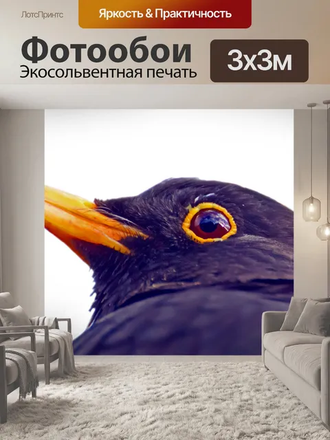 Фотообои Птица