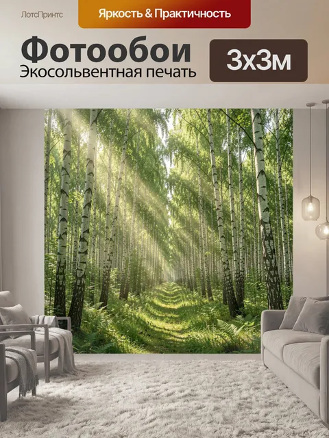 Фотообои Березовая роща в солнечном тумане