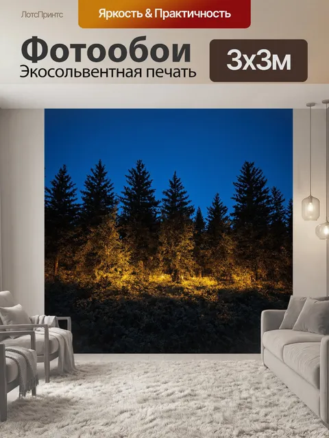 Фотообои in the moonlight, a mystical atmosphere is created