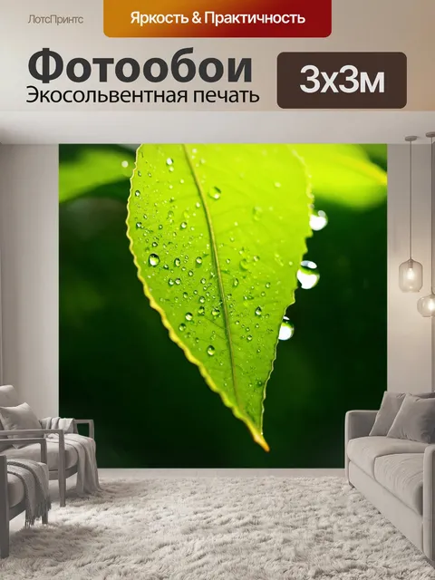 Фотообои капелька дождя, медленно скатывающаяся по зеленому листу, на фоне солнечного света