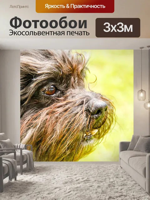 Фотообои Собака