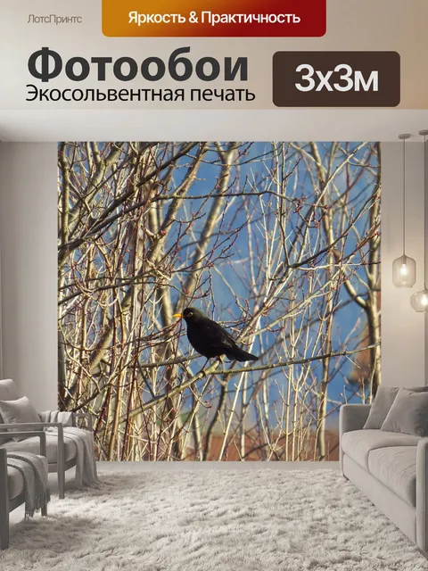 Фотообои Певчие птицы