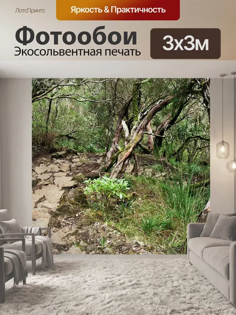 Фотообои Мадейра