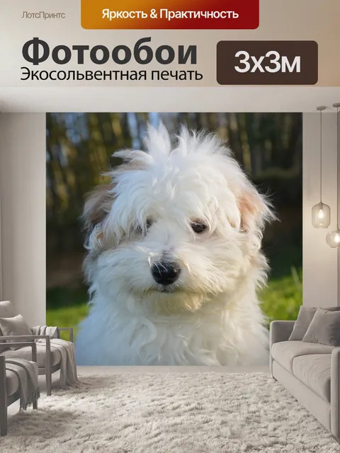 Фотообои Щенок