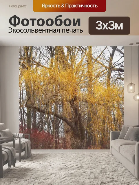 Фотообои Деревья