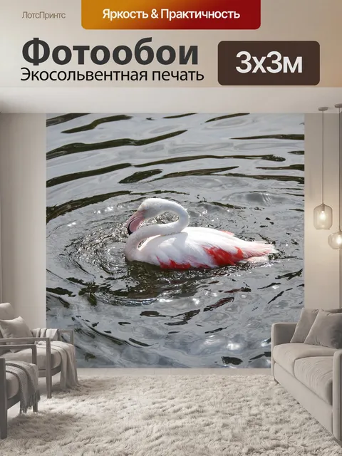 Фотообои Фламинго