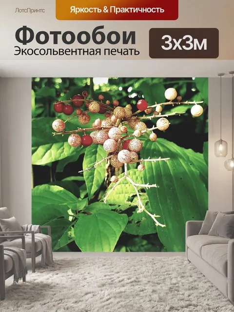 Фотообои Дикие ягоды растений