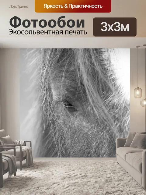 Фотообои Голова лошади