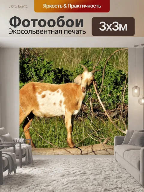 Фотообои Коза, почесывая голову на дереве
