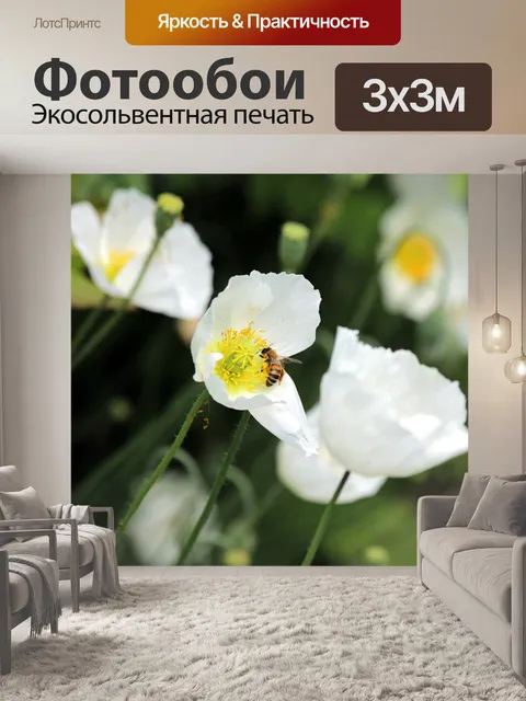 Фотообои Маки