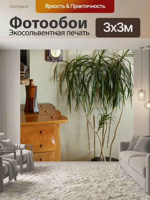 Фотообои Палм внутри