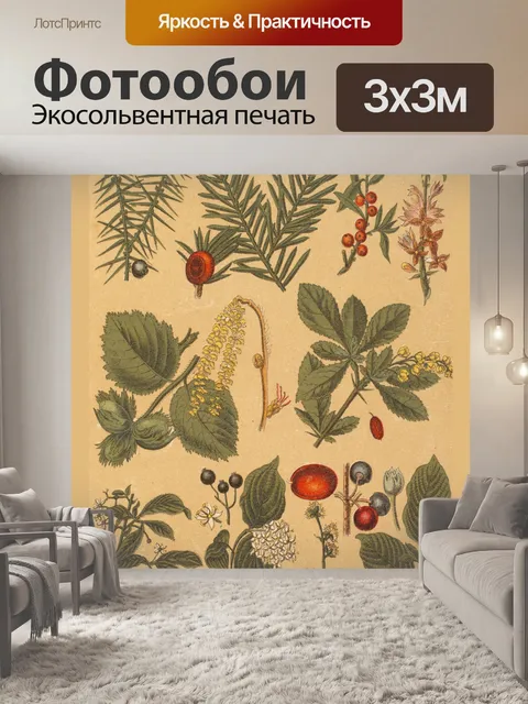Фотообои Старинные ботанические растения эфемеры