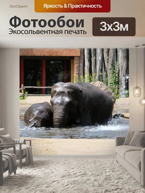 Фотообои В ванне со слонами 2.2