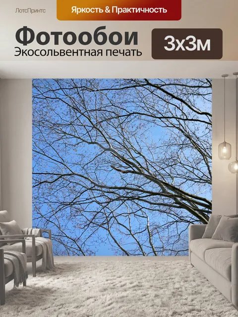 Фотообои Ветви