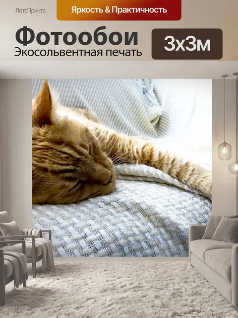 Фотообои Спящая Orange полосатый кот