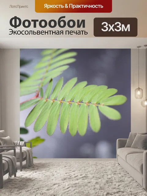 Фотообои Лист