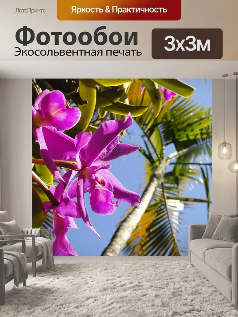 Фотообои Орхидеи