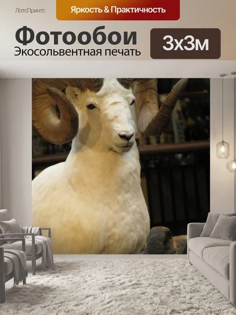 Фотообои Овцы долла