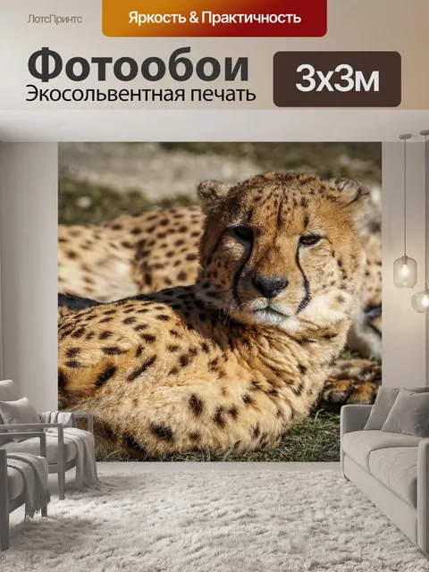 Фотообои Гепарды