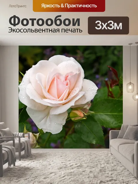 Фотообои Роза