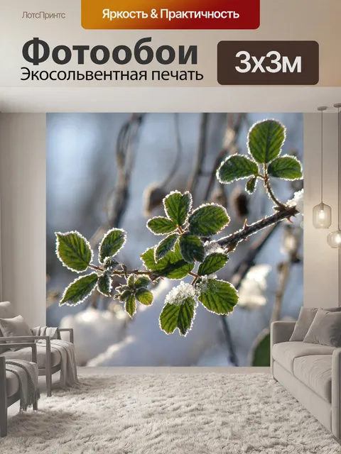 Фотообои Снег