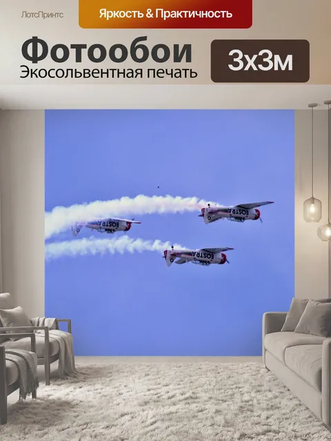 Фотообои перевернутый гарвардский пилотажный пока
