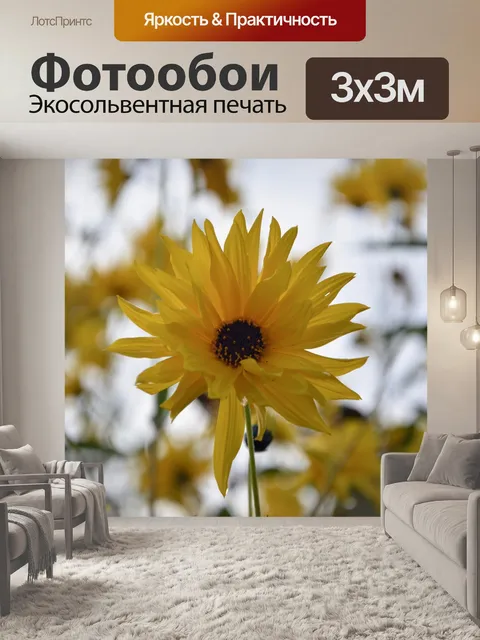 Фотообои Желтые цветы