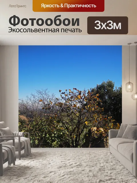 Фотообои желтые листья на небольшом дереве