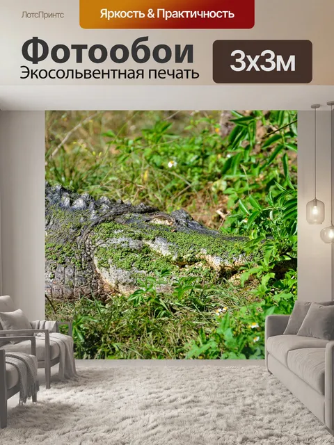 Фотообои Аллигатор